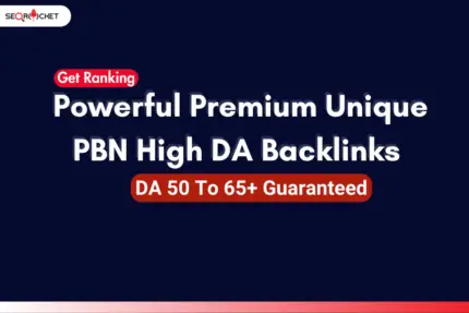Buy Full Premium Quality PBN Backlink By SEORocket